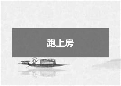 跑上房