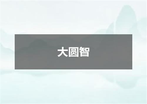 大圆智