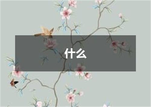 什么