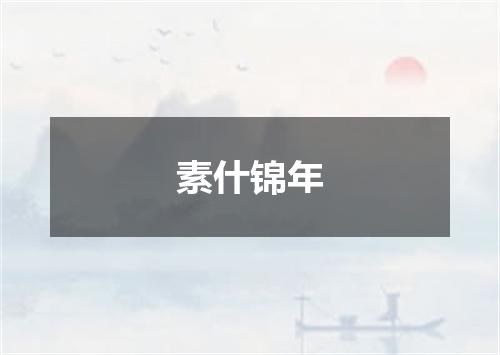 素什锦年