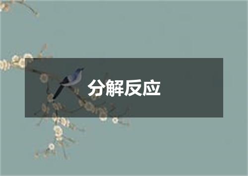 分解反应