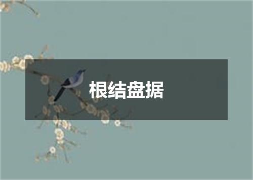 根结盘据