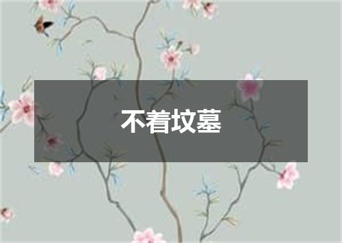不着坟墓