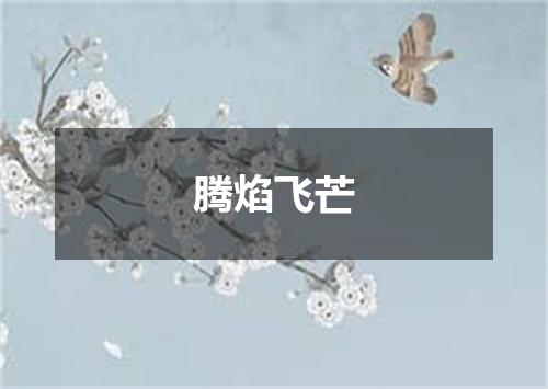 腾焰飞芒