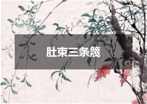 肚束三条篾