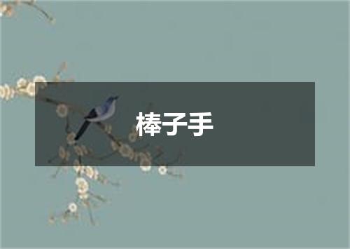 棒子手