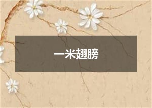 一米翅膀