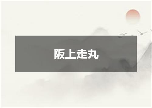 阪上走丸