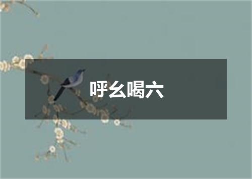 呼幺喝六