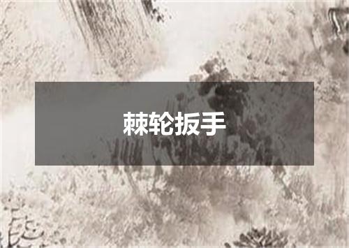 棘轮扳手