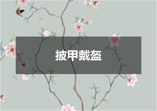 披甲戴盔
