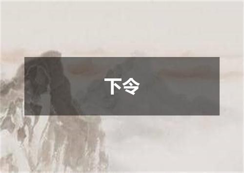 下令