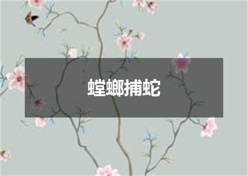 螳螂捕蛇