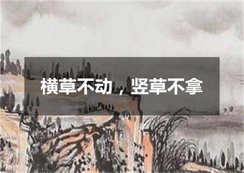 横草不动，竖草不拿
