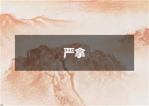 严拿