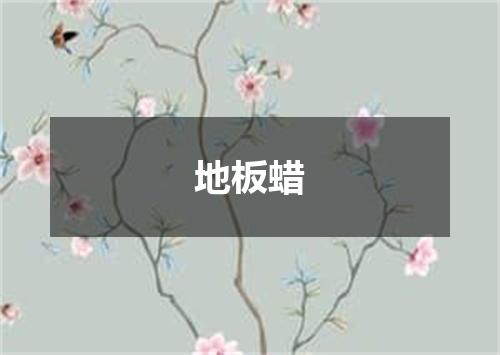 地板蜡