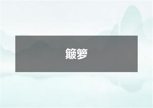 簸箩