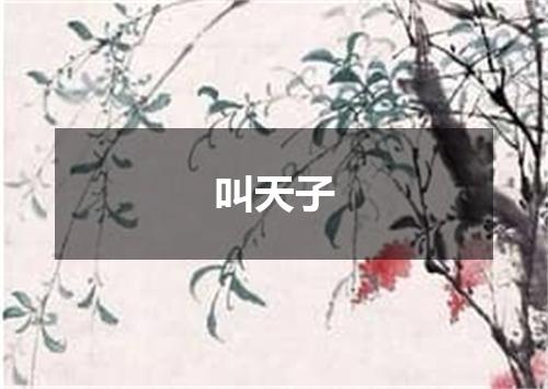 叫天子
