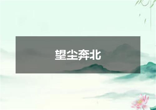 望尘奔北