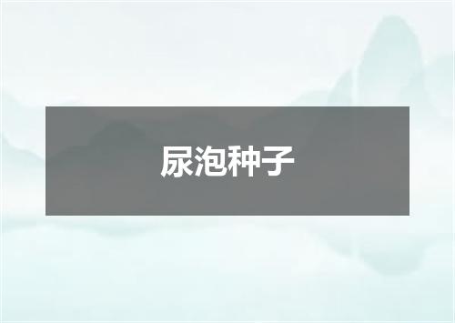 尿泡种子