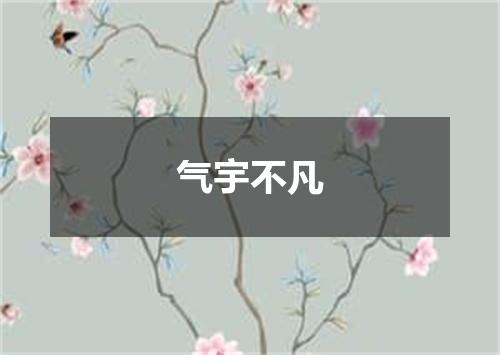 气宇不凡