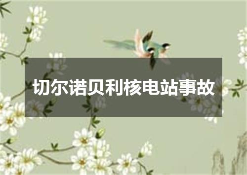 切尔诺贝利核电站事故