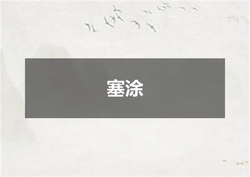塞涂