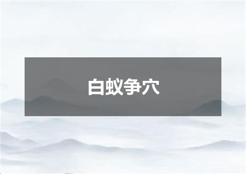 白蚁争穴