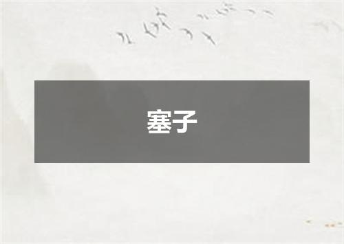 塞子
