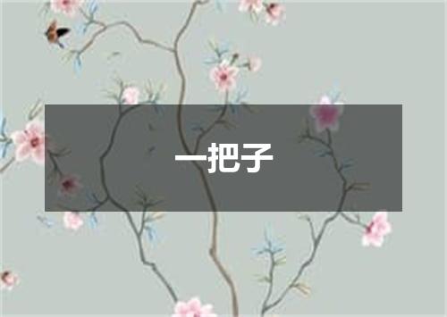 一把子