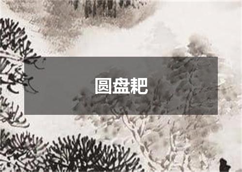 圆盘耙