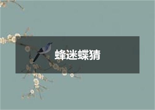 蜂迷蝶猜