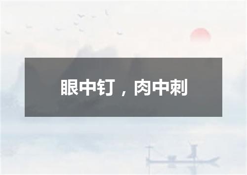 眼中钉，肉中刺