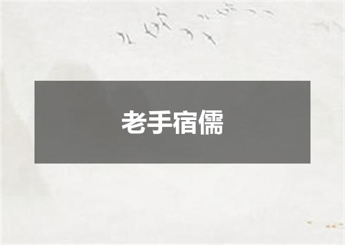 老手宿儒