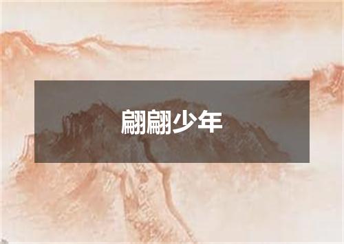 翩翩少年