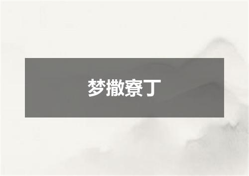 梦撒寮丁