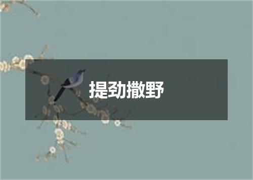 提劲撒野
