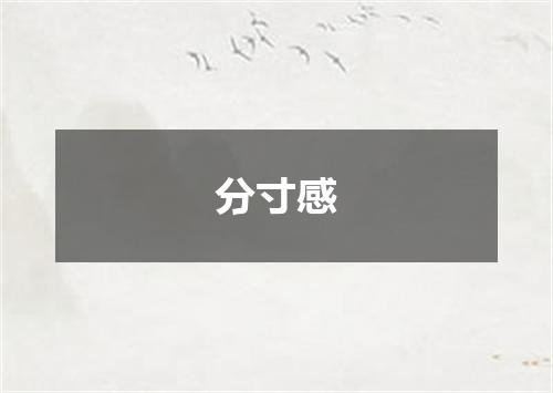 分寸感