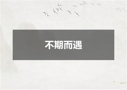 不期而遇