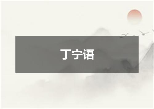 丁宁语