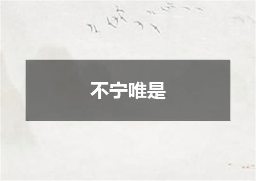不宁唯是