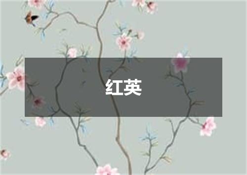 红英