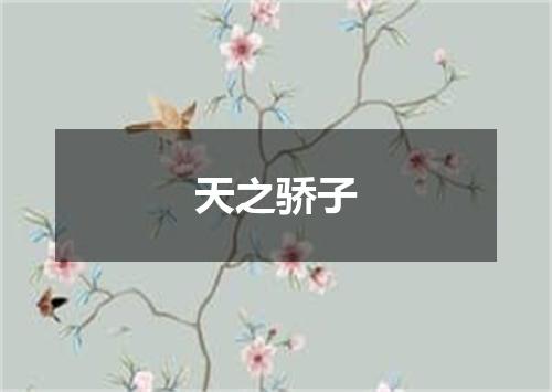 天之骄子