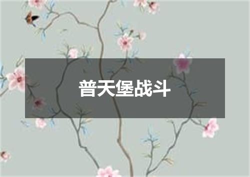 普天堡战斗