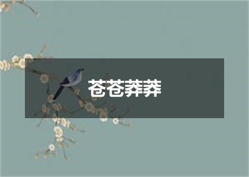 苍苍莽莽