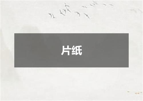 片纸