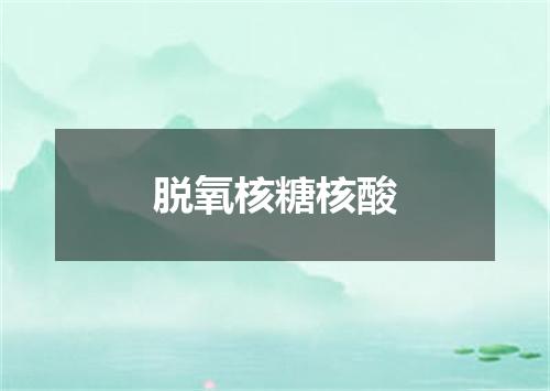 脱氧核糖核酸