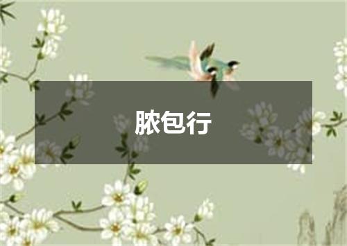 脓包行
