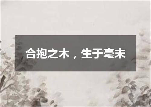 合抱之木，生于毫末