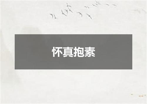 怀真抱素